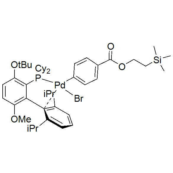 [2-(二环己基膦)-3-叔丁氧基-6-甲氧基-2